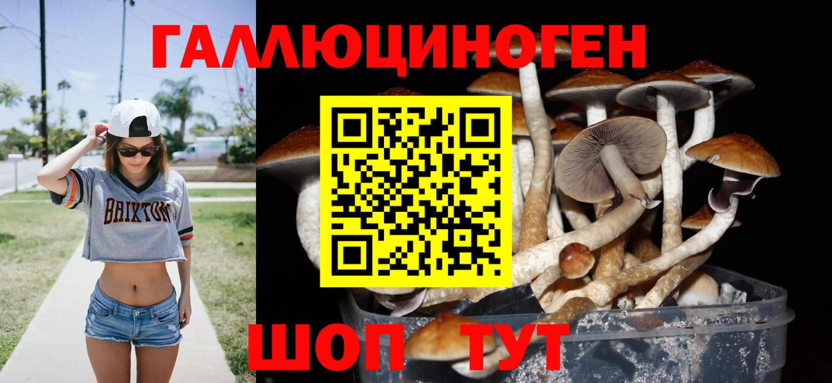 Псилоцибиновые грибы Psilocybe  Вход с VPN  Кумертау 